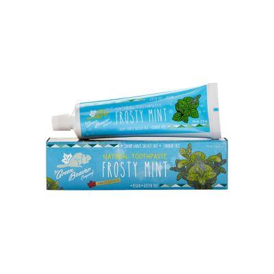 Green Beaver Frosty Mint Natural Toothpaste 75mL Toothpaste at Village Vitamin Store