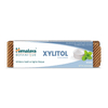 Himalaya Xylitol Mint Toothpaste 113g Toothpaste at Village Vitamin Store