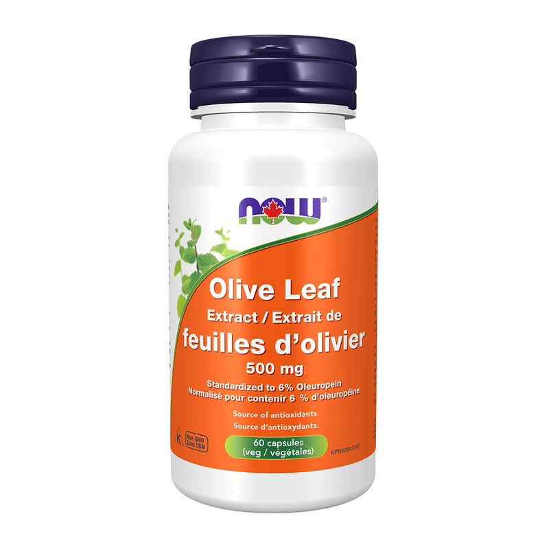 NOW Olive Leaf 500mg 60 Veggie Caps Supplements at Village Vitamin Store
