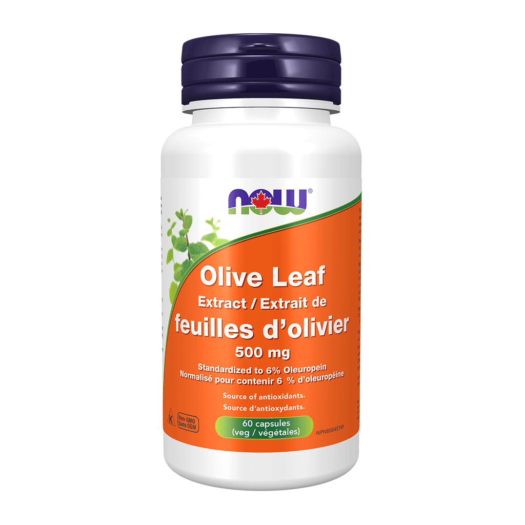 Herbs NOW Olive Leaf 500mg 60 Veggie Caps NOW