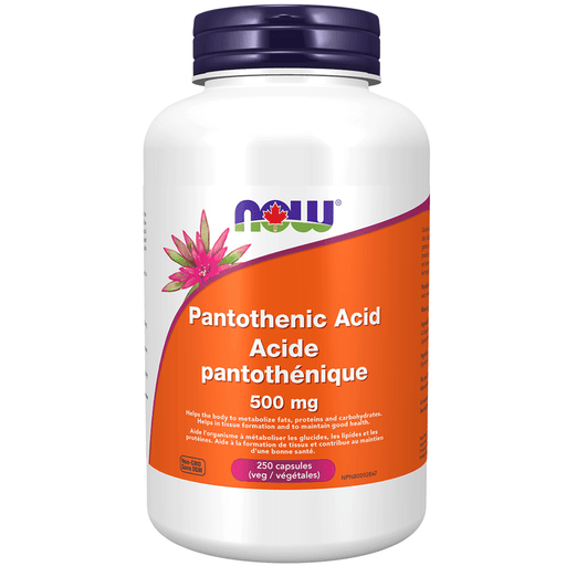 NOW Pantothenic Acid 500mg 250 Caps Supplements at Village Vitamin Store