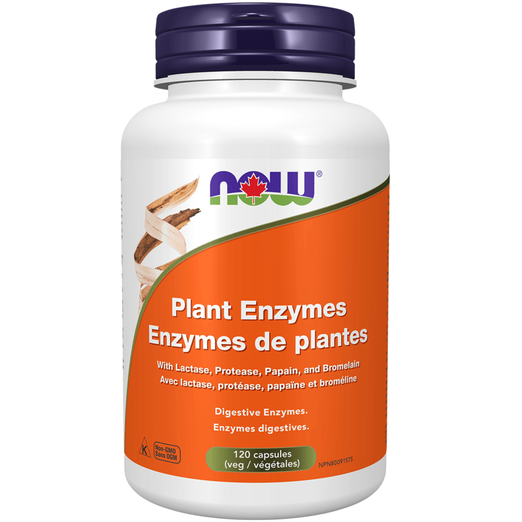 NOW Plant Enzymes 120 Veggie Caps Supplements - Digestive Enzymes at Village Vitamin Store