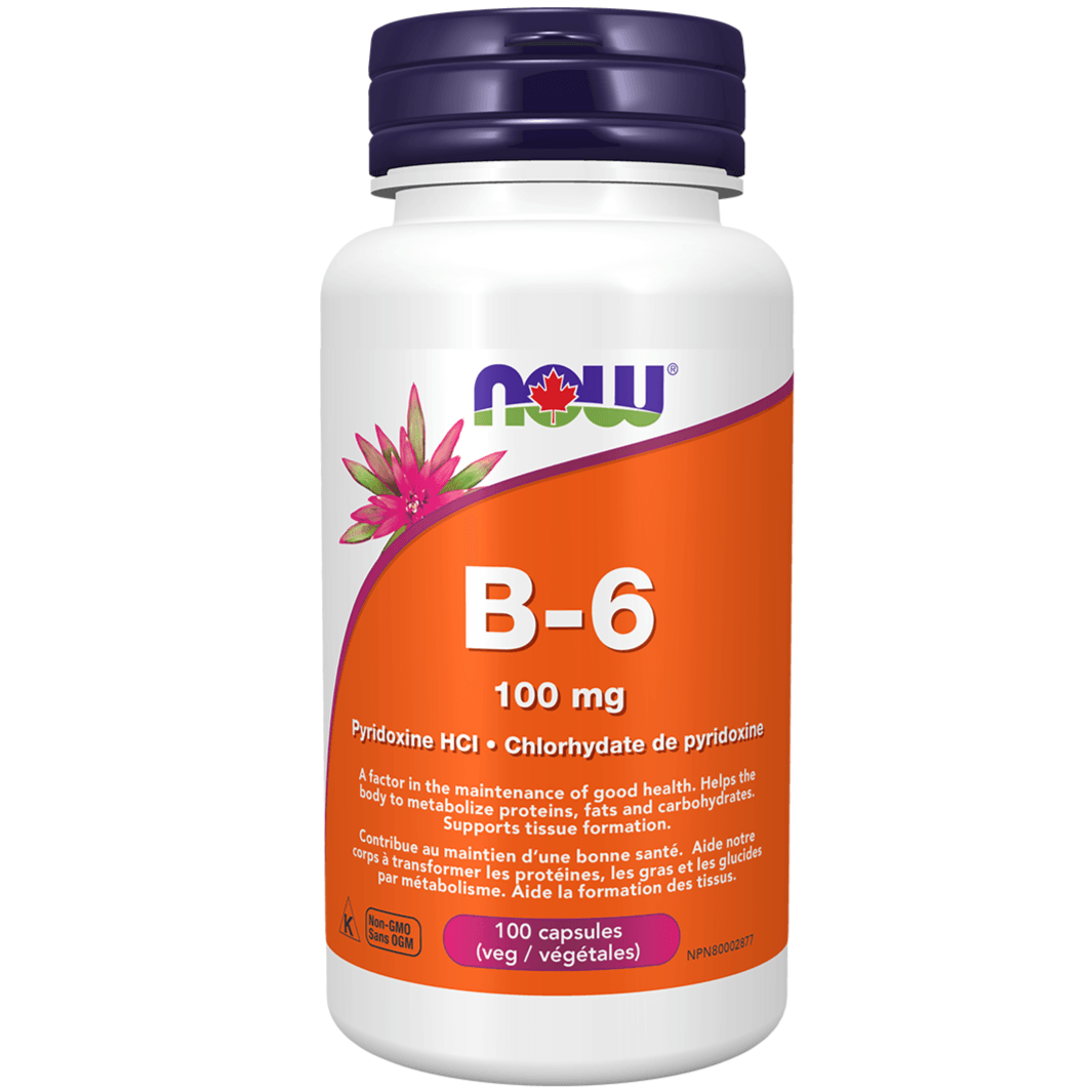 NOW B-6 100 mg 100 Veggie Caps Vitamins - Vitamin B at Village Vitamin Store