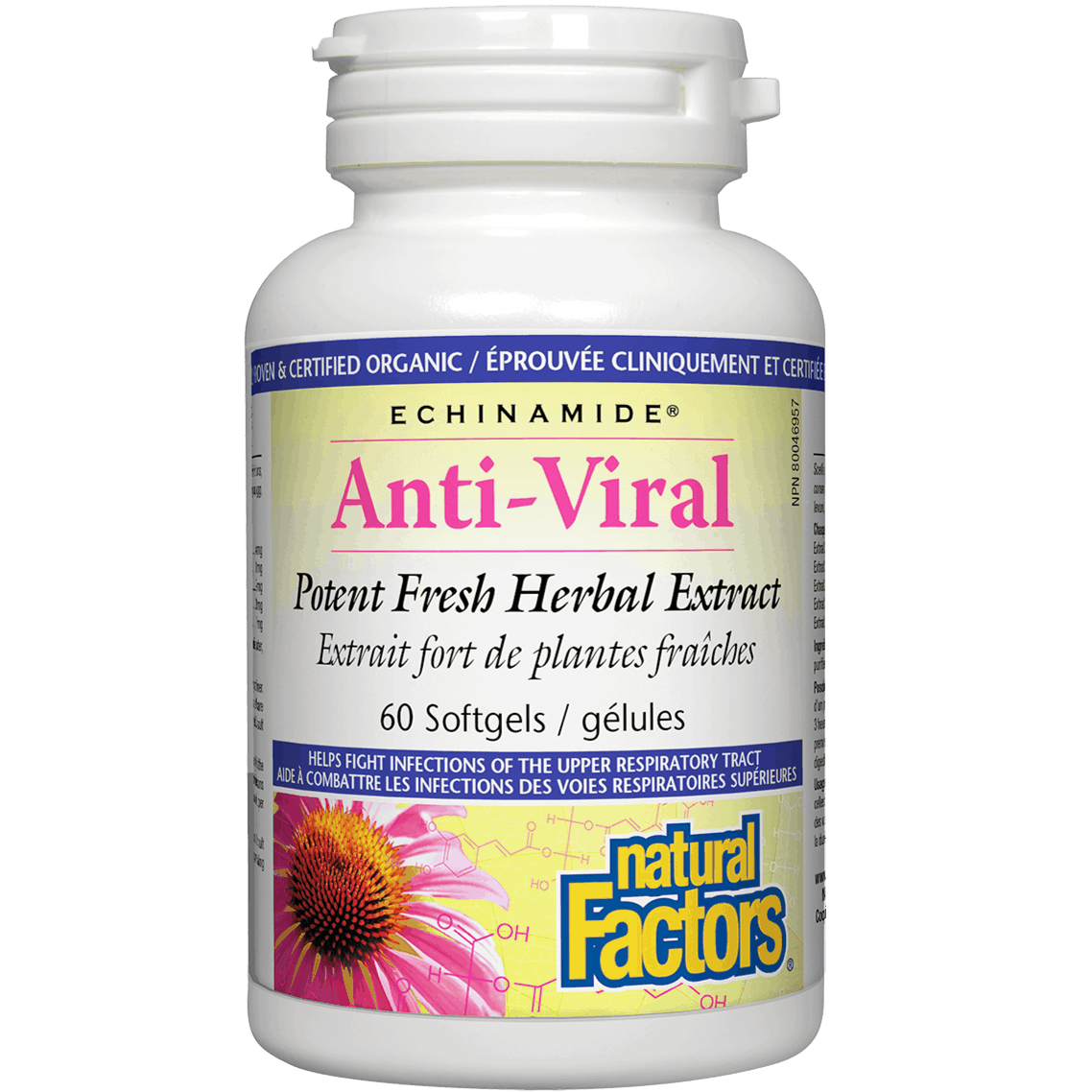 Natural Factors Echinamide Anti-Viral Potent Fresh Herbal Extract 60 Softgels Cough, Cold & Flu at Village Vitamin Store