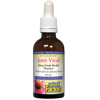 Natural Factors Echinamide Anti-Viral Tincture 50mL Cough, Cold & Flu at Village Vitamin Store