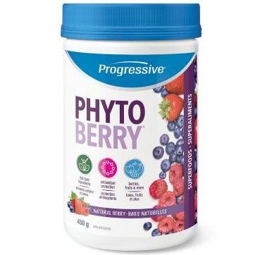 Progressive PhytoBerry Multi 450G Supplements - Greens at Village Vitamin Store