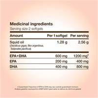 Nutrasea Omega-3 Liquid Gels High DHA 60 Softgels Supplements - EFAs at Village Vitamin Store