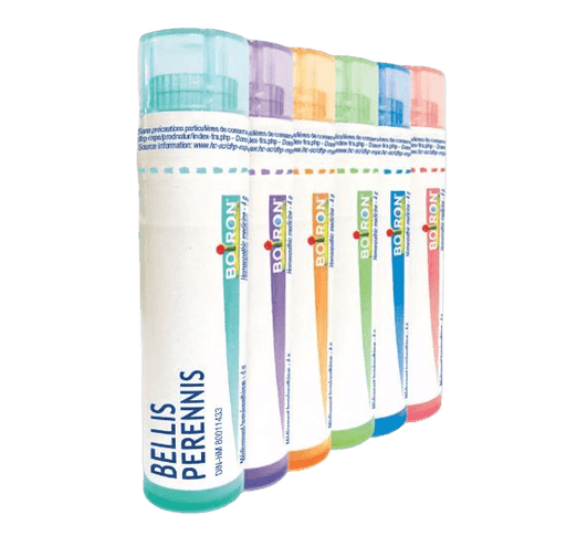Boiron Bellis Perennis 30 CH Homeopathic at Village Vitamin Store