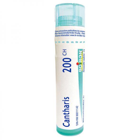 Boiron Cantharis 200CH Homeopathic at Village Vitamin Store