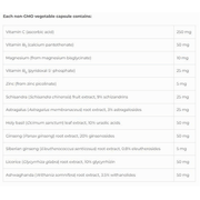 NFH Chaga SAP 60 Caps Supplements at Village Vitamin Store