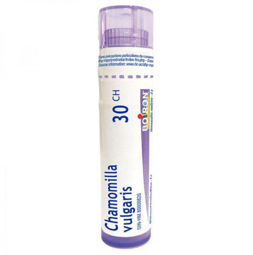 Boiron Chamomilla vulgaris 30ch Homeopathic at Village Vitamin Store