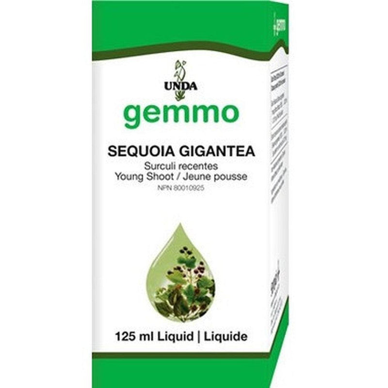 UNDA Gemmo Sequoia Gigantea 125mL Homeopathic at Village Vitamin Store