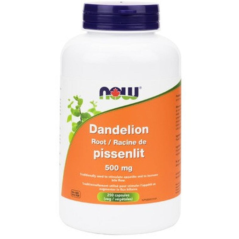 Now Dandelion Root 500MG 100 Softgels Supplements at Village Vitamin Store