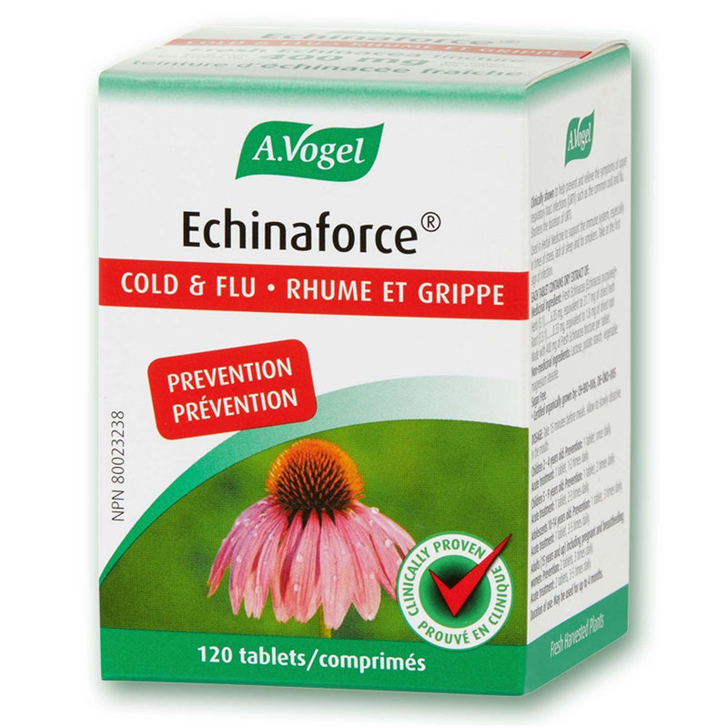 A. Vogel Echinaforce 120 Tabs Cough, Cold & Flu at Village Vitamin Store