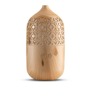 Le Comptoir Aroma Genie Mist Diffuser Aromatherapy Diffusers at Village Vitamin Store