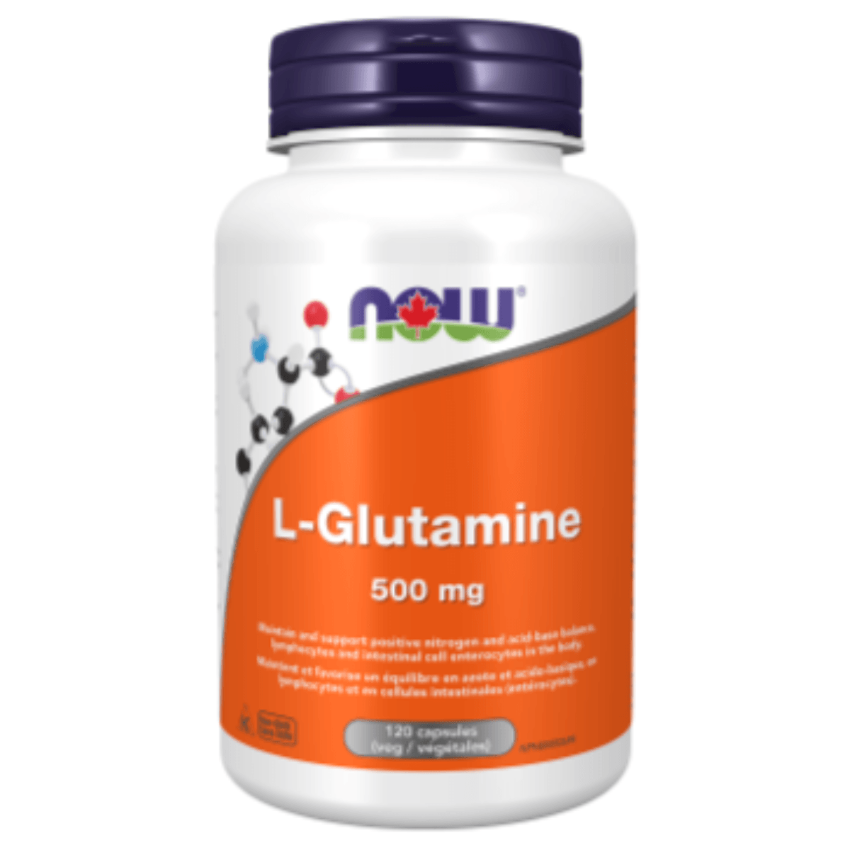 NOW L-Glutamine 500 mg 120 Veggie Caps Supplements - Amino Acids at Village Vitamin Store