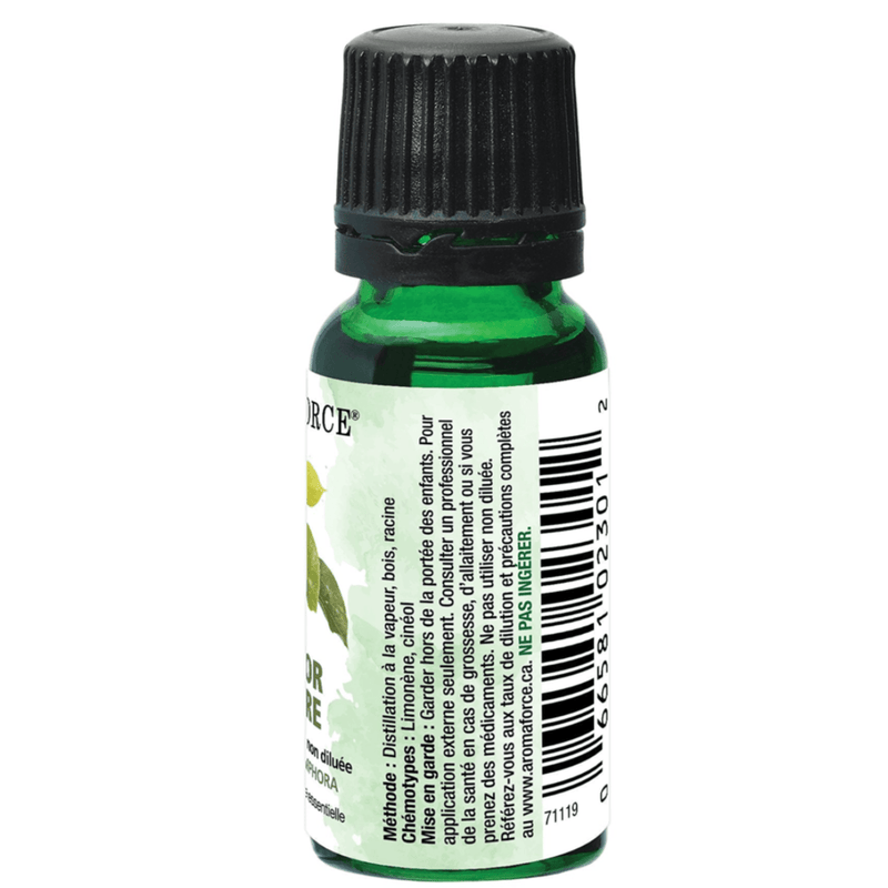 Aromaforce Camphor Essential Oil 15ML Essential Oils at Village Vitamin Store