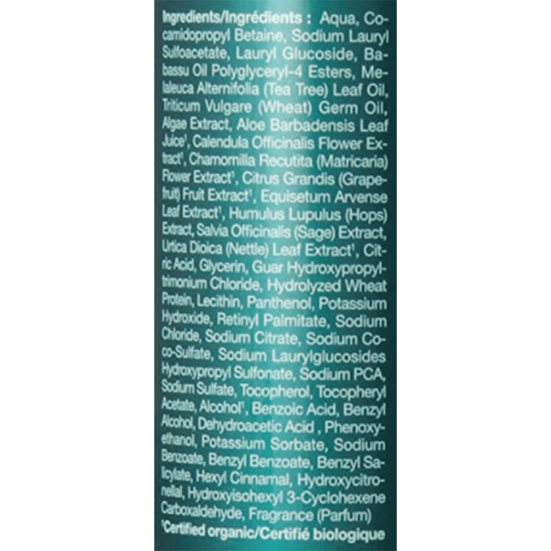 Jason Tea Tree Normalizing Shampoo 517mL Shampoo at Village Vitamin Store