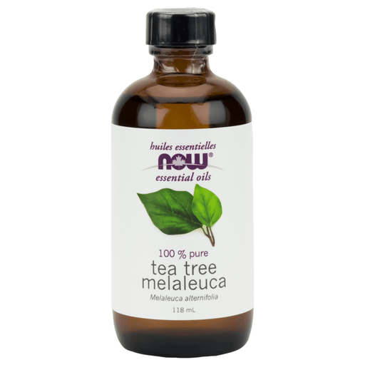 NOW Tea Tree Oil 118mL Essential Oils at Village Vitamin Store