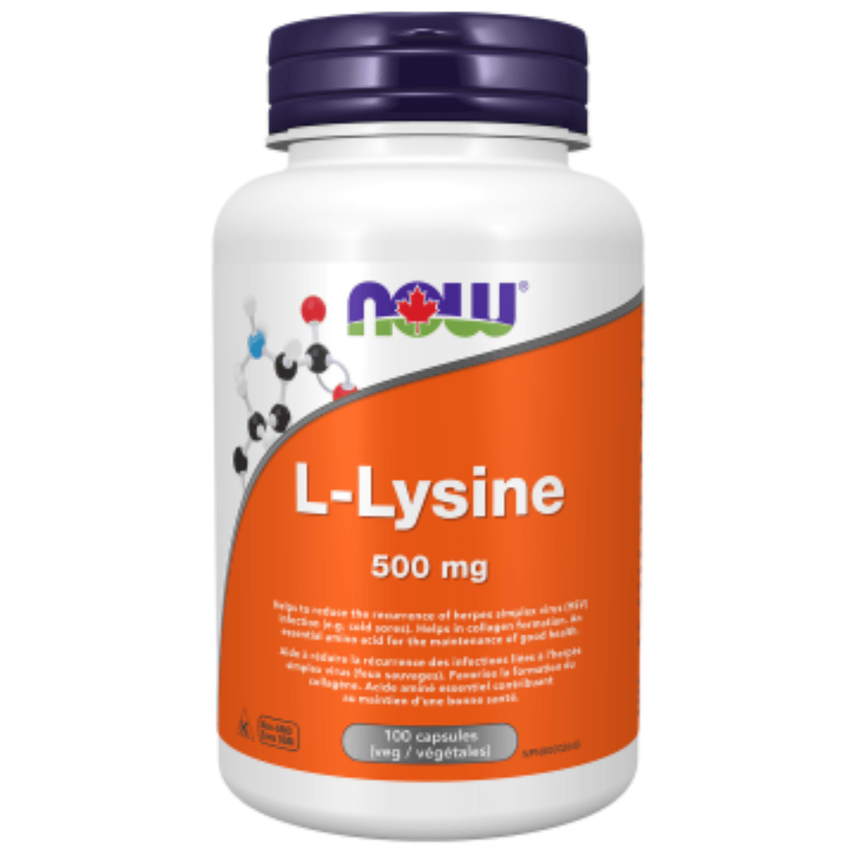 NOW L-Lysine 500mg 100caps Supplements - Amino Acids at Village Vitamin Store