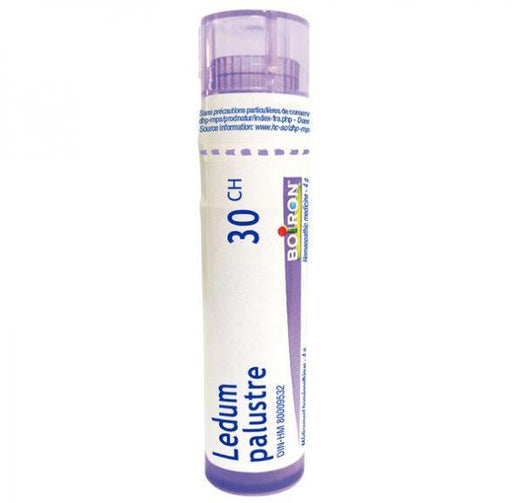 Boiron Ledum Palustre 30CH Homeopathic at Village Vitamin Store