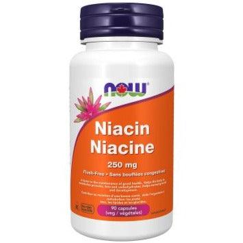 NOW Flush Free Niacin 250mg 90 Veggie Caps Vitamins - Vitamin B at Village Vitamin Store