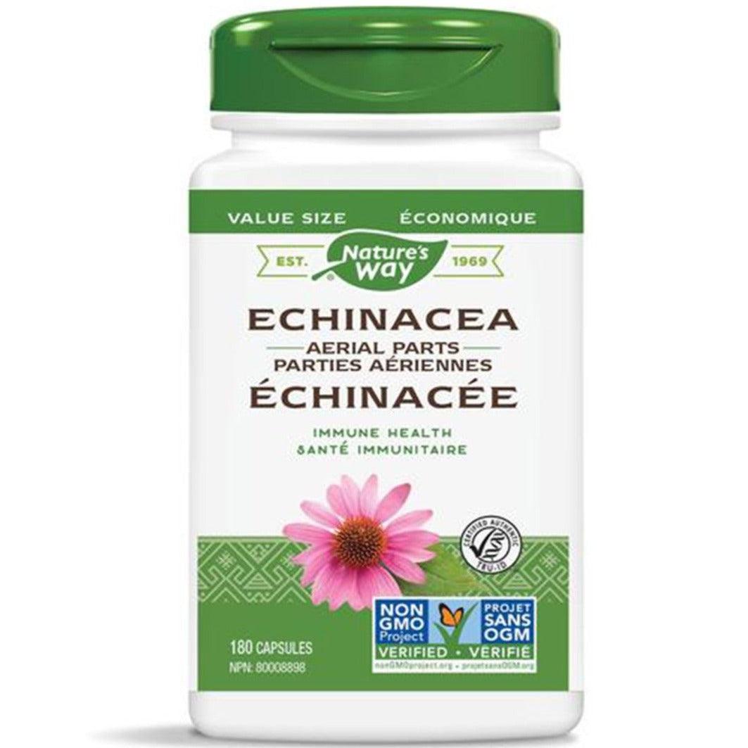 Nature's Way Echinacea 180 Caps Cough, Cold & Flu at Village Vitamin Store