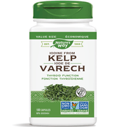 Nature's Way Kelp 180 Caps Supplements - Thyroid at Village Vitamin Store