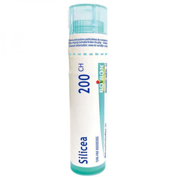 Boiron Silicea 200CH Homeopathic at Village Vitamin Store