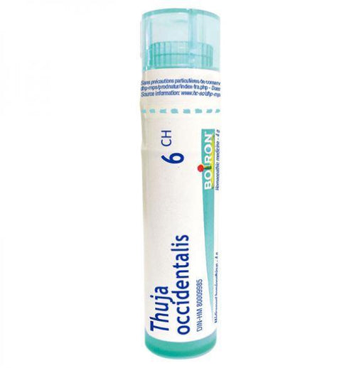 Boiron Thuja Occidentalis 6CH Homeopathic at Village Vitamin Store