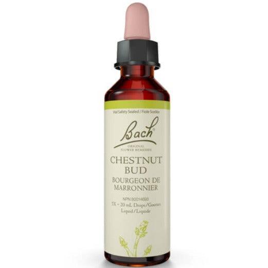 Bach Chestnut Bud 20mL Drops Liquid Homeopathic at Village Vitamin Store
