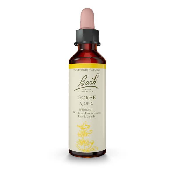Bach Gorse 20mL Drops Liquid Homeopathic at Village Vitamin Store