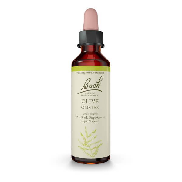 Bach Olive 20mL Drops Liquid Homeopathic at Village Vitamin Store