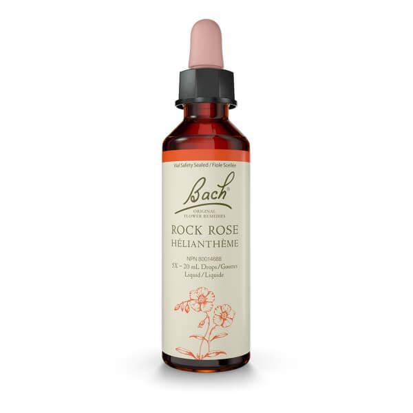 Bach Rock Rose 20mL Drops Liquid Homeopathic at Village Vitamin Store