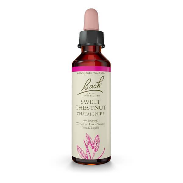 Bach Sweet Chestnut 20mL Drops Liquid Homeopathic at Village Vitamin Store