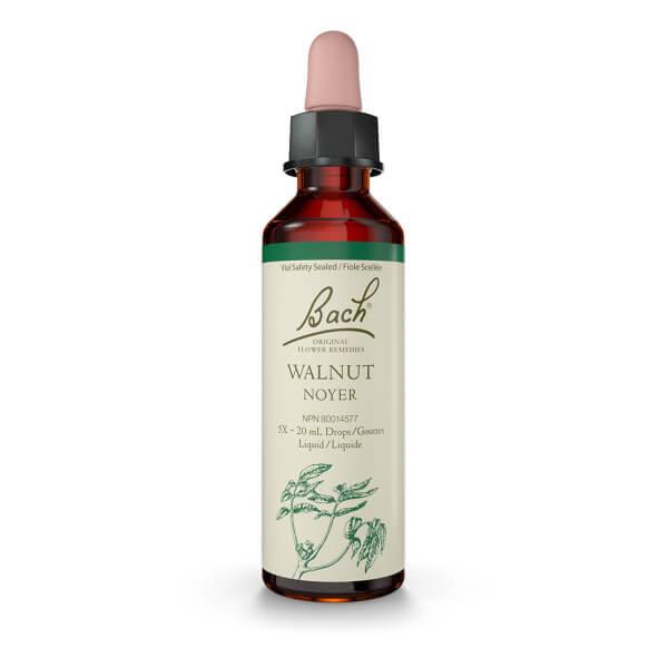 Bach Walnut 20mL Drops Liquid Homeopathic at Village Vitamin Store