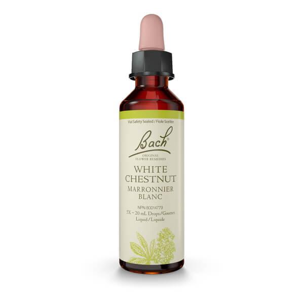 Bach White Chestnut 20mL Drops Liquid Homeopathic at Village Vitamin Store