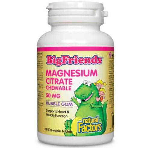 Natural Factors Big Friends Magnesium Citrate 50mg Bubble Gum 60 Chewable Tabs Supplements - Kids at Village Vitamin Store