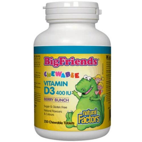 Natural Factors Big Friends Vitamin D3 Berry Bunch 400 IU 250 Chewable Tabs Supplements - Kids at Village Vitamin Store