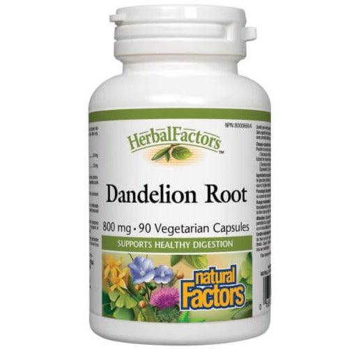 Natural Factors Dandelion Root 800mg 90 Veggie Caps Supplements - Digestive Health at Village Vitamin Store