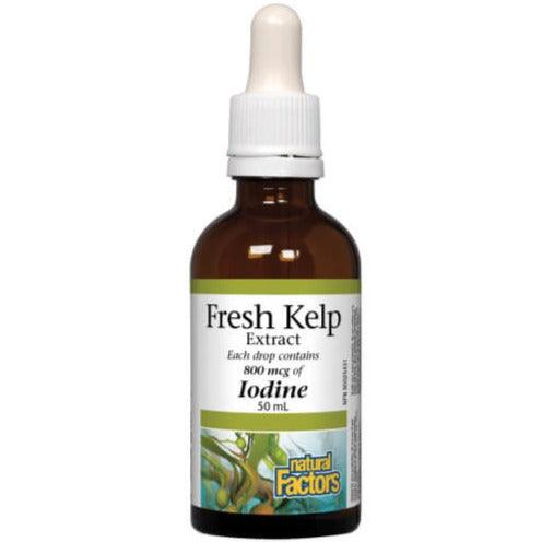 Natural Factors Fresh Kelp Extract 50mL Supplements - Thyroid at Village Vitamin Store