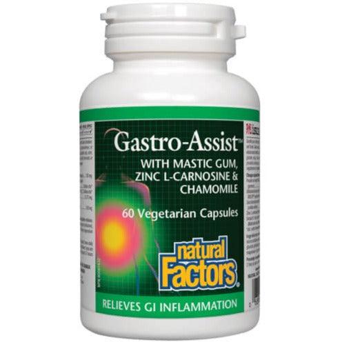 Natural Factors Gastro-Assist with Mastic Gum, Zinc L-Carnosine & Chamomile 60 Veggie Caps Supplements - Digestive Health at Village Vitamin Store