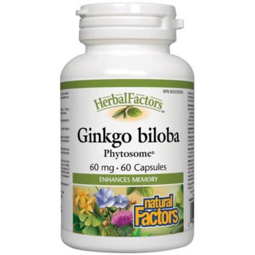Natural Factors Herbal Factors Ginkgo Biloba Phytosome 60mg 60 Caps Supplements - Cognitive Health at Village Vitamin Store