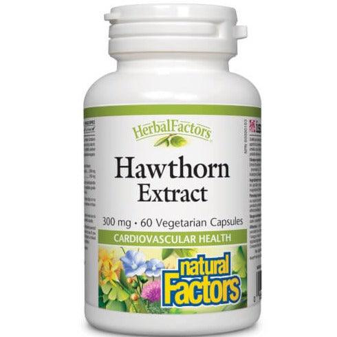 Natural Factors Hawthorn Extract 300mg 60 Veggie Caps Supplements - Cardiovascular Health at Village Vitamin Store