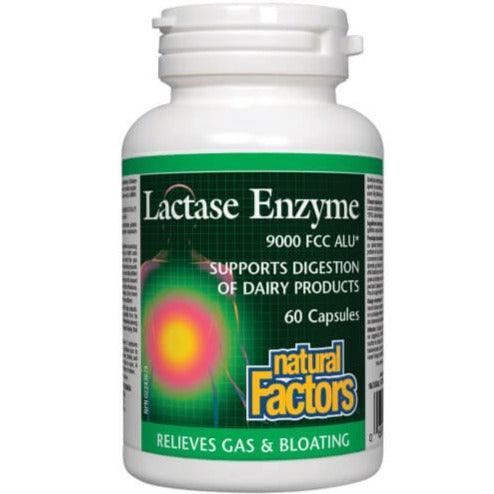 Natural Factors Lactase 60 Caps Supplements - Digestive Enzymes at Village Vitamin Store