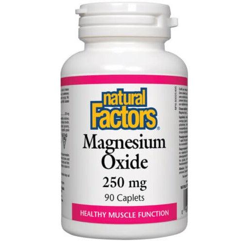 Natural Factors Magnesium Oxide 250mg 90 Caplets Minerals - Magnesium at Village Vitamin Store