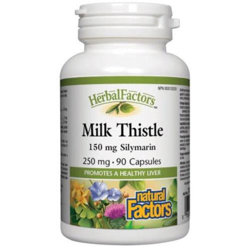 Natural Factors Milk Thistle 250mg Silymarin 90 Caps Supplements - Liver Care at Village Vitamin Store