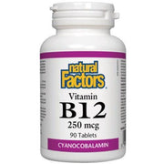 Natural Factors Vitamin B12 250mcg 90 Tabs Vitamins - Vitamin B at Village Vitamin Store