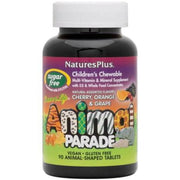 Natures Plus Animal Parade Sugar Free Children's Multivitamin Assorted 90 Chewables Supplements - Kids at Village Vitamin Store