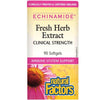 Natural Factors Echinamide Fresh Herb Extract Clinical Strength 90 Softgels Cough, Cold & Flu at Village Vitamin Store